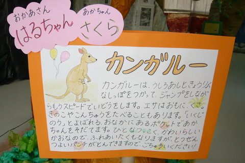 さくら組　カンガルー看板