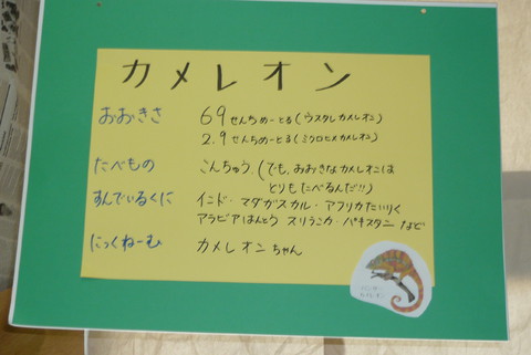 ふじ組　カメレオン看板