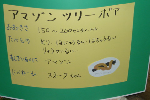 ふじ組　アマゾンツリーボア看板