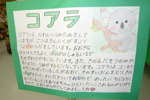 さくら組　コアラ看板