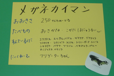 ふじ組　メガネカイマン看板