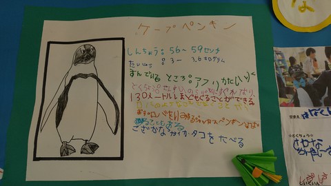 すみれ組　ケープペンギン　看板