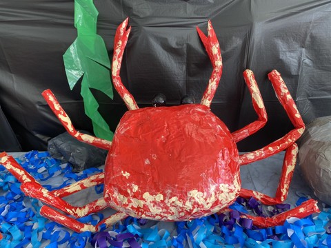 すみれ組　タカアシガニ　（共同製作）