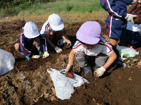 どんどんほるぞー