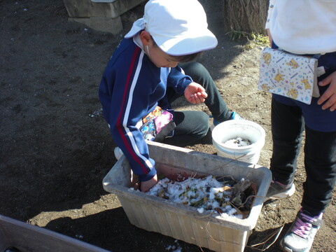先生雪あったよ！