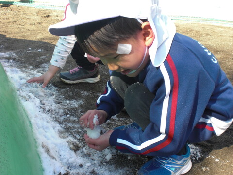 みんな！こっちの方が雪あるよ！